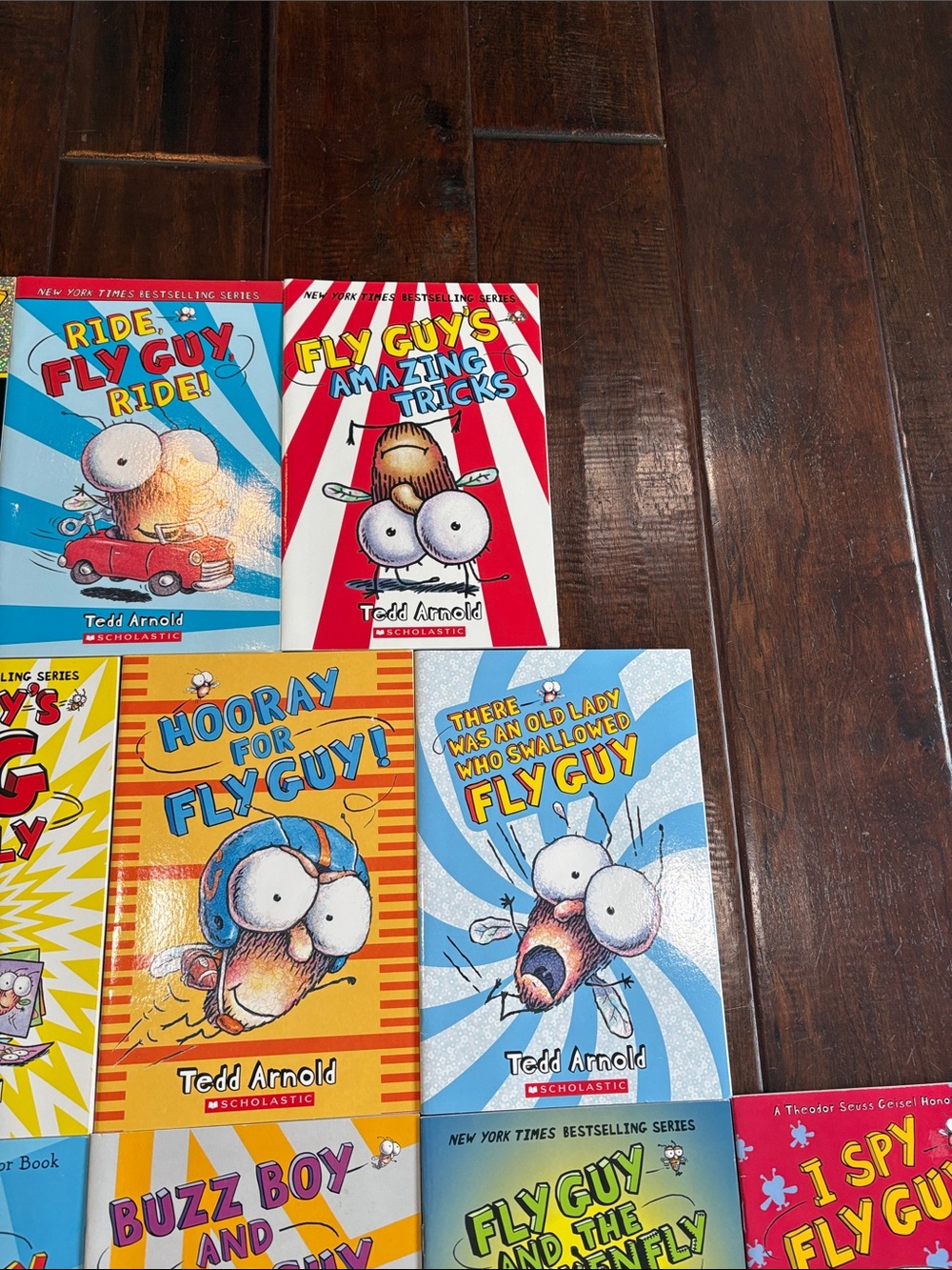 Fly Guy Lot of 17 Picture Books Ted's Arnold Early Readers Fun Silly - Picture 3 of 5